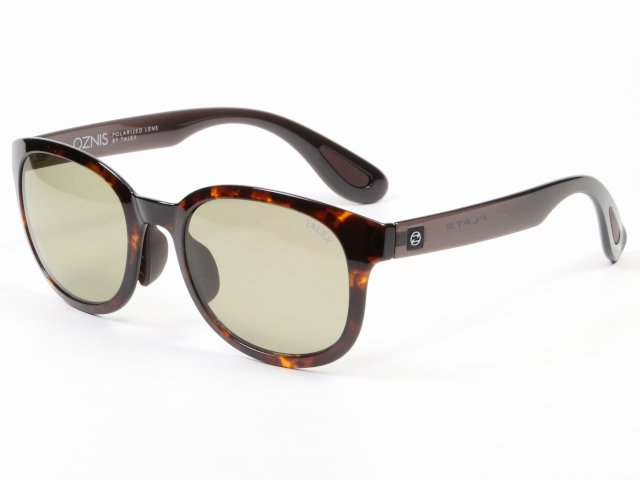 オズニス・フラット20の写真